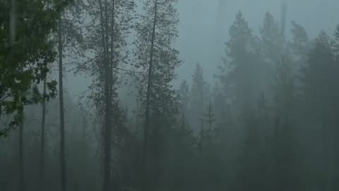Rain ambiance for sleep and relaxing