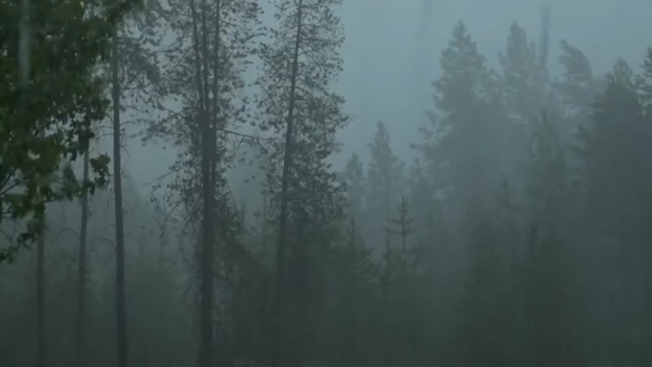 Rain ambiance for sleep and relaxing