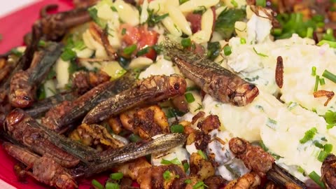 German café serves food with insect toppings
