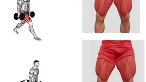 Top Shoulder Workout At gym Shoulder Exercise Shoulder Day 16