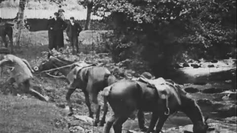 DEER HUNT AND STEEPLECHASE - DEER HUNT AND STEEPLECHASE - armat-armat-140j