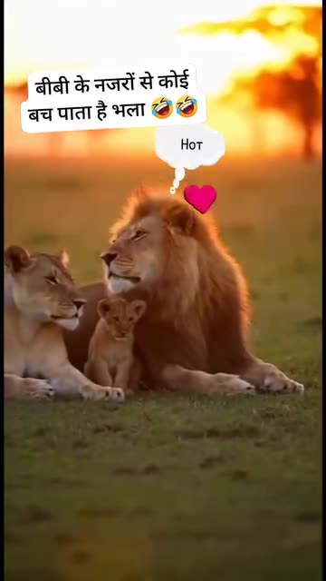 जरा संभल कर कही आप में भी यह quality तो नहीं है 🤣🤣🤣🤣😂 @highlight #trendingreel #creator #explore