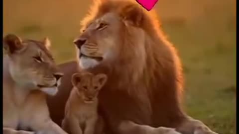 जरा संभल कर कही आप में भी यह quality तो नहीं है 🤣🤣🤣🤣😂 @highlight #trendingreel #creator #explore