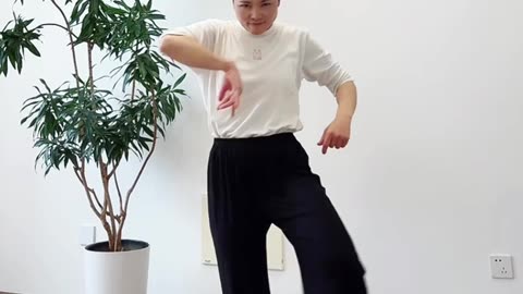804.擺式胯晃樁