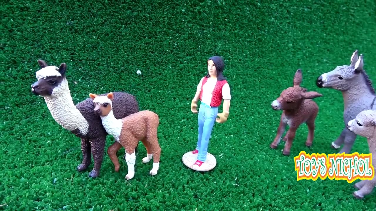 Five Puppies Share Food with Five Kittens in Front of the House