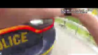 Duanesburg, N Y police shot out after pulling over driver
