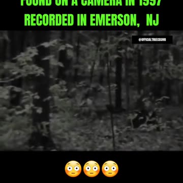 Couple attacked by a cloaked creature in the woods