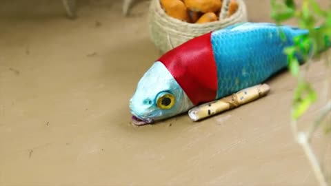 Predator vs Prey Stop Motion - KOI Fish & Frog ASMR