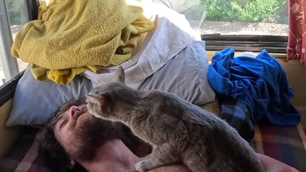 😻Life💪Is🙏Good🐕