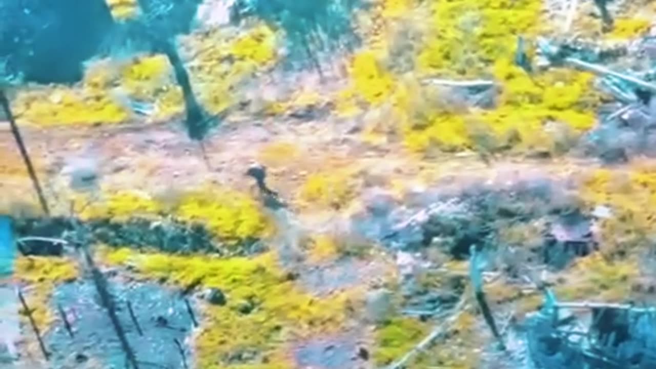 Ukraine war combat footage 4 21 25