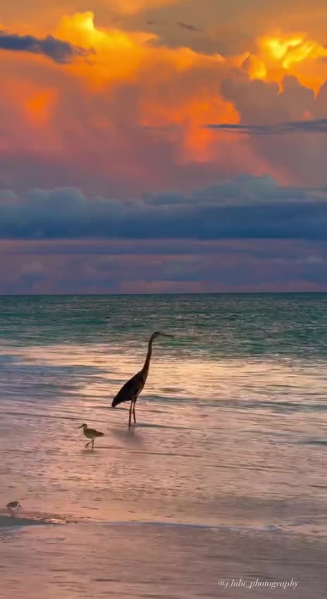 Have the beach all to itself