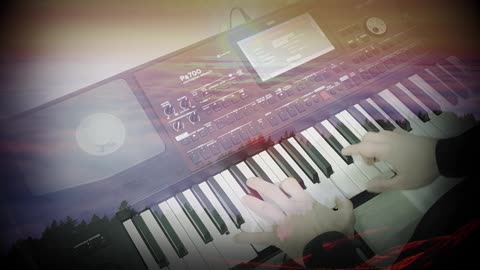 Stereotyp & Paranoid - Du Bist Nicht Allein (Klavier-Coverversion)