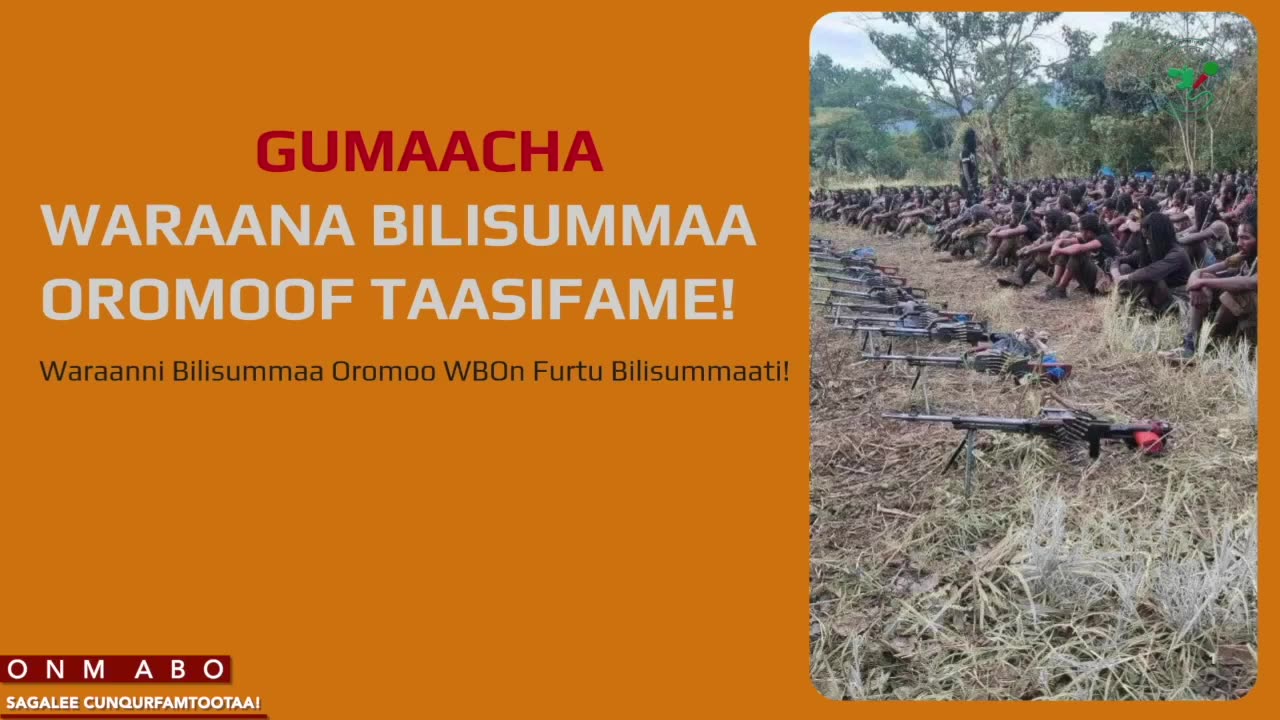Gabaasa Gumaacha ONM-ABO Fulbaana 13-2025 itti dhiyaadhaa!