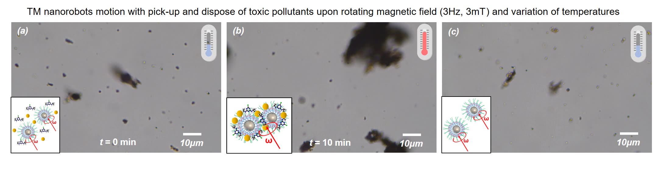 PTBC-coated & Magnetized Nanorobots: Journal Nature Communications - Novel Nanomaterials
