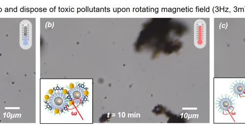 PTBC-coated & Magnetized Nanorobots: Journal Nature Communications - Novel Nanomaterials