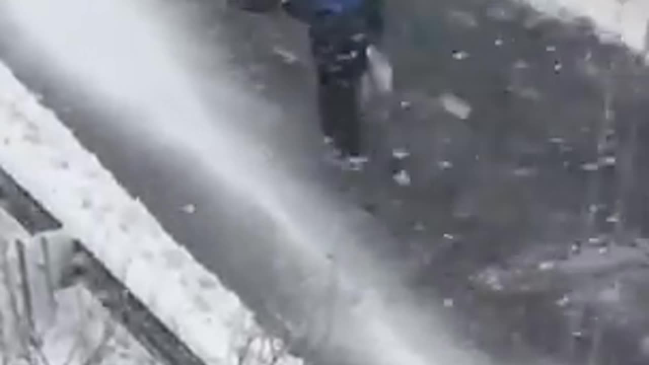 SNOW WAGIE