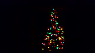 Christmas lights 12/21/25: