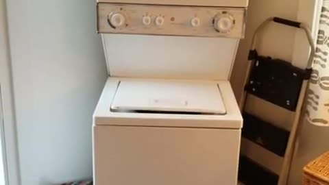 Possessed washer