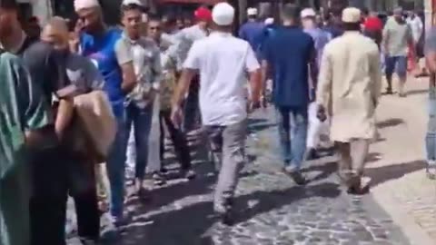 Zero natives, zero women and children. The situation in Lisbon is dire. Do you want your