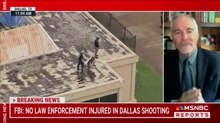 MSNBC Analyst Claims 'You Can't Just Assume' Shooter's Motive
