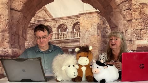 Noach (Noah) Torah Portion #2 Genesis 6:9–11:32