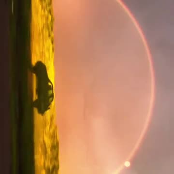 Lauren3ve @Lauren3veMemes 🪼🌸🪸