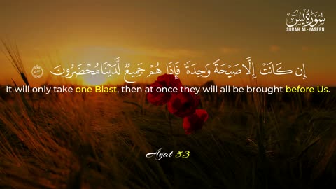 Surah Yaseen | Heart of the Qur'an | Listen & Feel the Tranquility