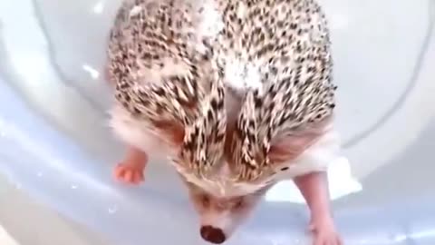 Bath time 😍