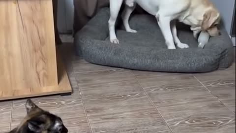 😂👊 When 'Bro' Said NOPE! - Epic Rejection Moment! | FunFM