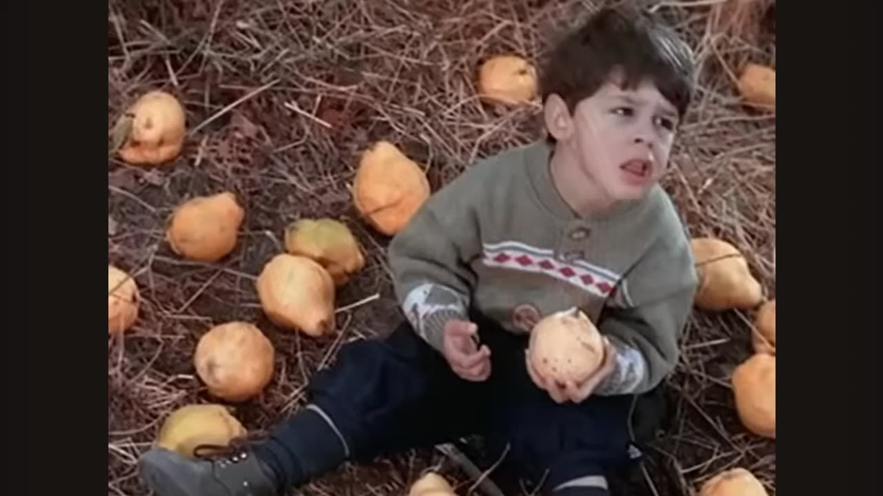 Enigma - Return To Innocence (Official Video)