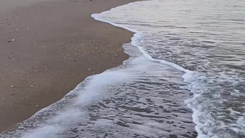 Florida Sunset Beach Walk