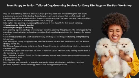 From Puppy to Senior: Tailored Dog Grooming Services for Every Life Stage — The Pets Workshop