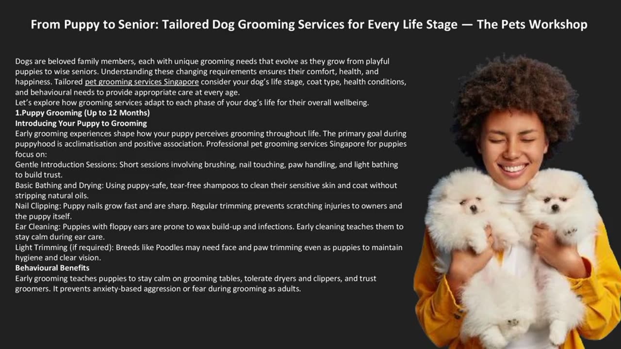 From Puppy to Senior: Tailored Dog Grooming Services for Every Life Stage — The Pets Workshop