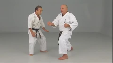 Shorin Ryu Karate