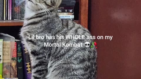 😂👊 Mortal Kombat Fail Will Leave You SPEECHLESS! | FunFM