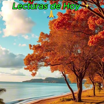 🙏✨Oración Inspirada en las Lecturas de Hoy ✨🙏