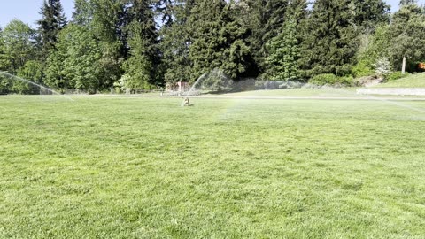Tokala discovers sprinklers for the first time
