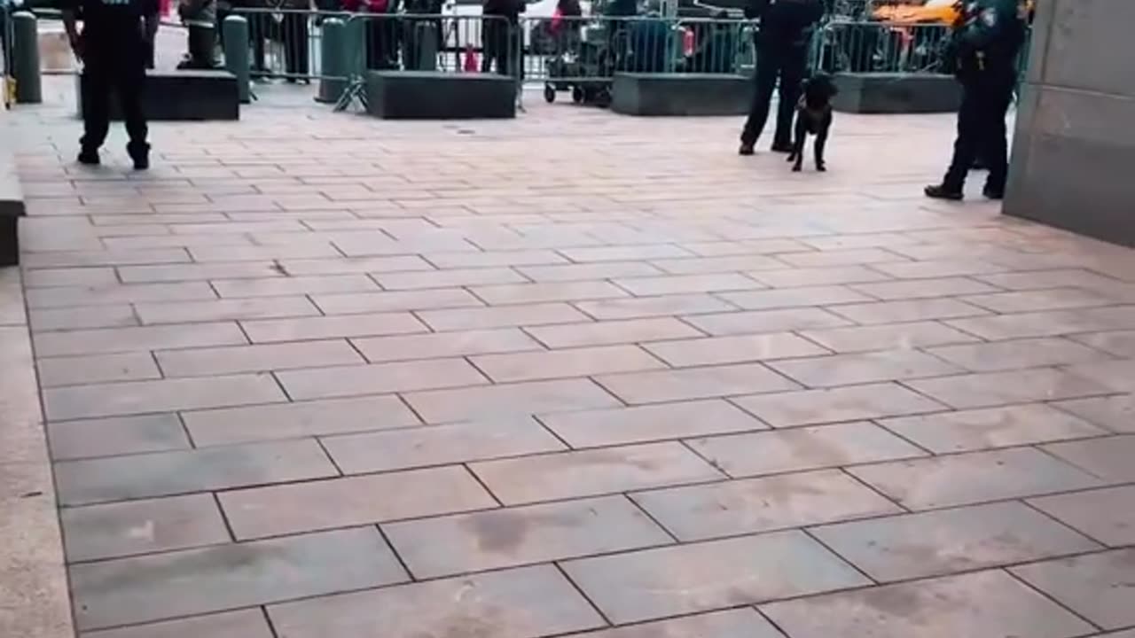 DIDDY TRIAL