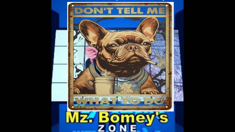 MZ B - LIVE - Don't Tell Me What To Do!