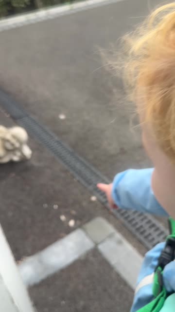 My Son Mistook Buddha Statue for His Dad