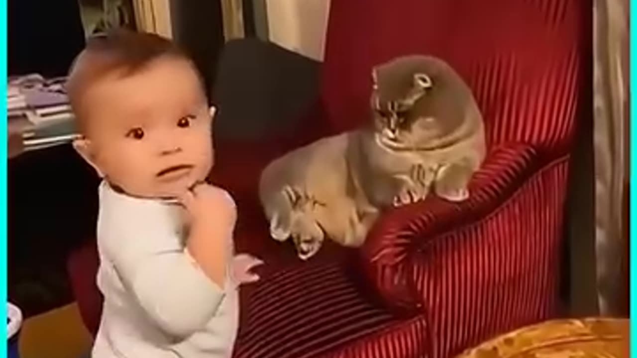 Awe 😆🤣😂