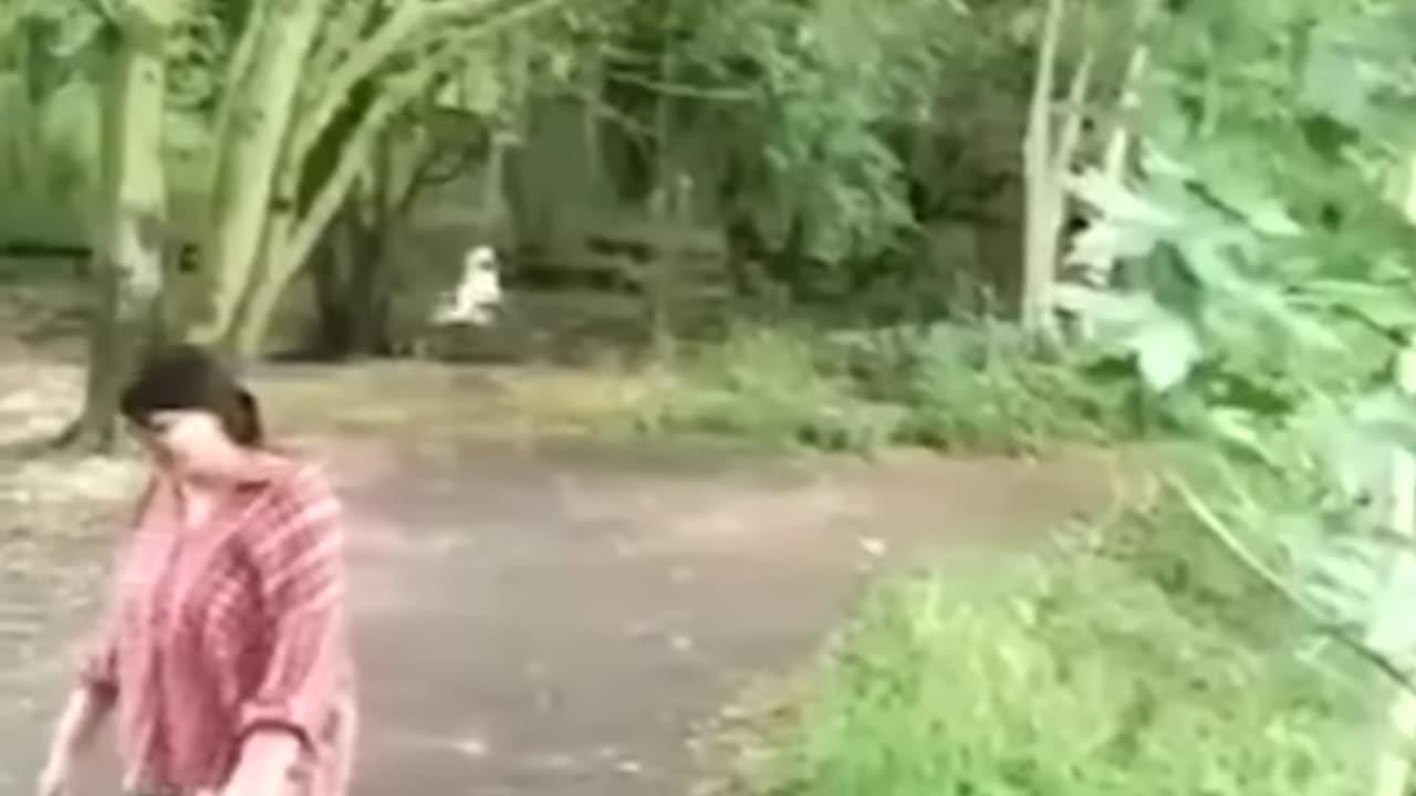 Funniest Cats and Dogs Videos πΆπ± | Funny Animal Videos #25