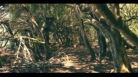 Island of God – Where Faith Turns to Fear