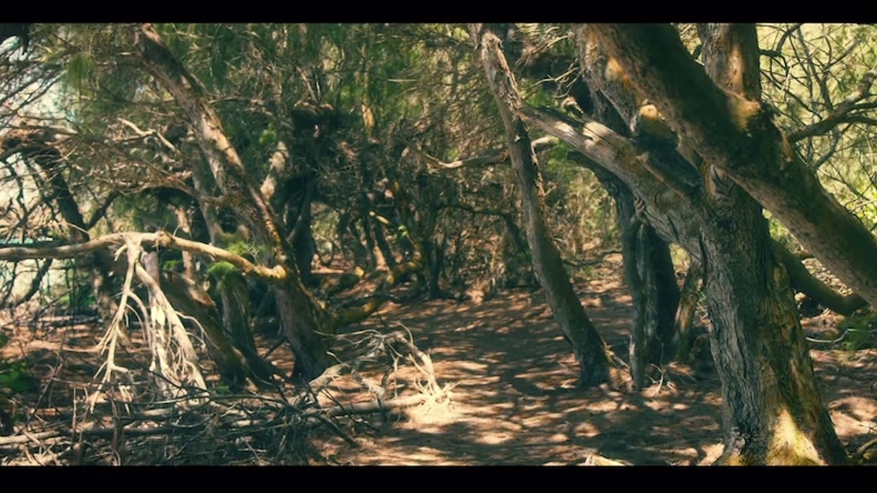 Island of God – Where Faith Turns to Fear