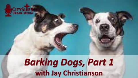 Barking Dogs, Part 1 with Jay Christianson