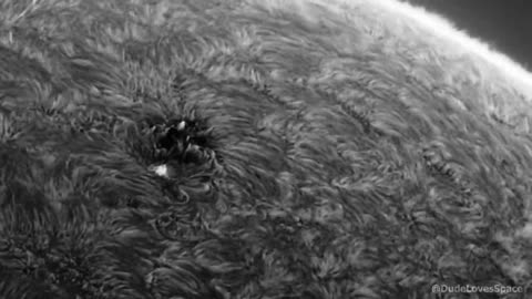 I Took this Video of the SUN Through my Telescope!.
