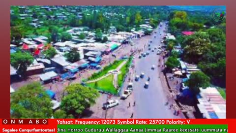 Oduu Waaree ONM-ABO Fulbaana 16-2025 itti dhiyaadhaa!