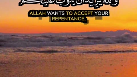 🎧 تلاوة خاشعة من سورة النساء | محمد البارقي | Surah An-Nisa by Muhammad Al-Barqawi 🌟