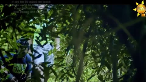 Lanvee - ලංවී