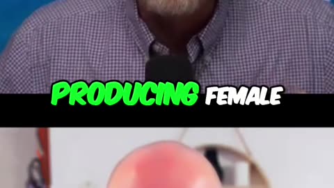 The REAL Truth Behind Transgenderism, it's in the Water!